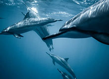 K8凯发：引领线上娱乐的安全与乐趣之旅